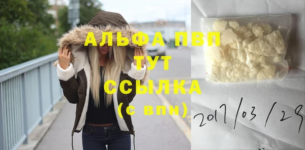 тгк Володарск